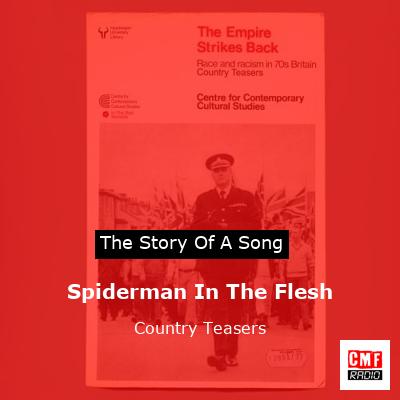 final cover Spiderman In The Flesh Country Teasers