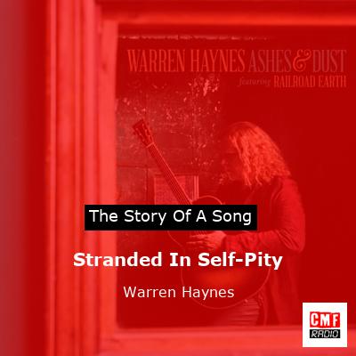 Stranded In Self-Pity – Warren Haynes