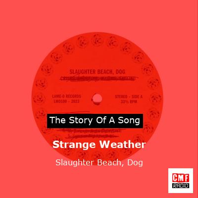 Strange Weather – Slaughter Beach, Dog