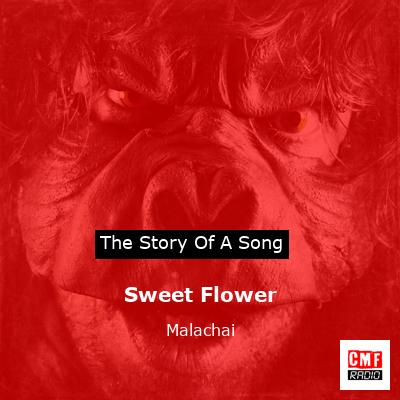 Sweet Flower – Malachai