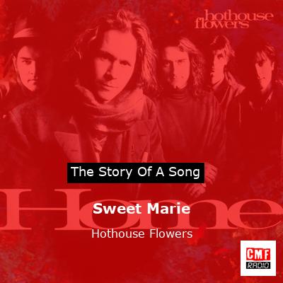 Sweet Marie – Hothouse Flowers