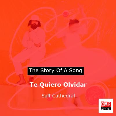 final cover Te Quiero Olvidar Salt Cathedral