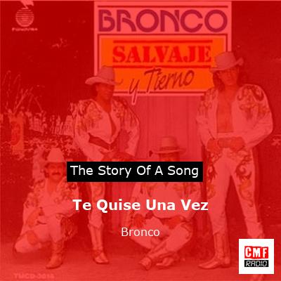Te Quise Una Vez – Bronco