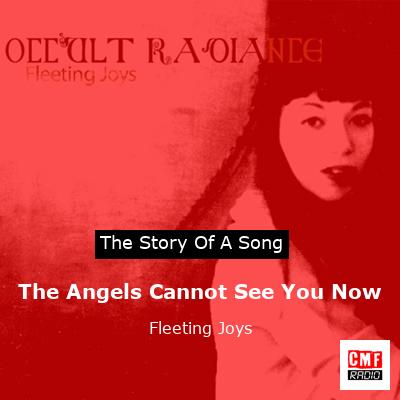 The Angels Cannot See You Now – Fleeting Joys