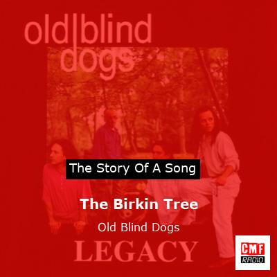 The Birkin Tree – Old Blind Dogs