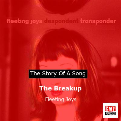 final cover The Breakup Fleeting Joys