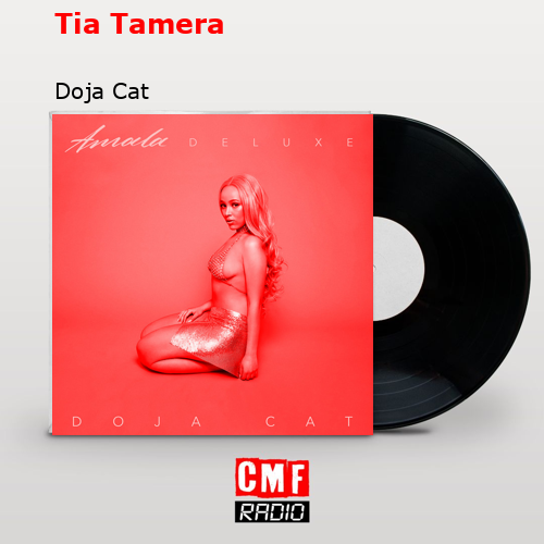 alder Misforståelse mus The story and meaning of the song 'Tia Tamera - Doja Cat '