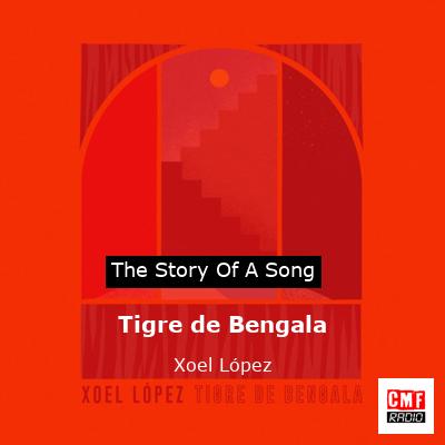 Tigre de Bengala – Xoel López