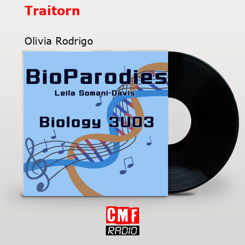 Traitorn – Olivia Rodrigo