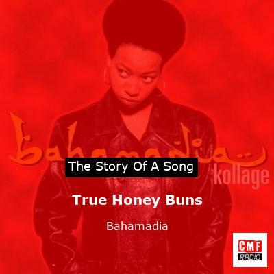 final cover True Honey Buns Bahamadia