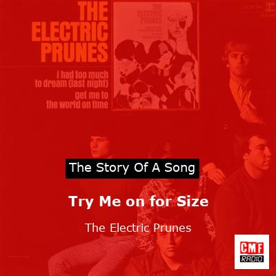 final cover Try Me on for Size The Electric Prunes