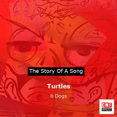 Turtles – 6 Dogs