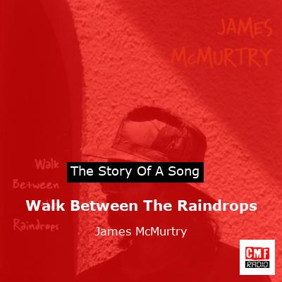 final cover Walk Between The Raindrops James McMurtry
