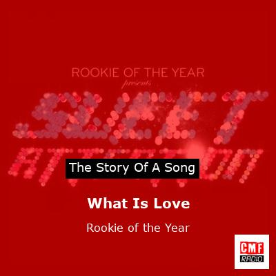 What Is Love – Rookie of the Year