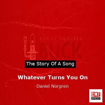 Whatever Turns You On – Daniel Norgren