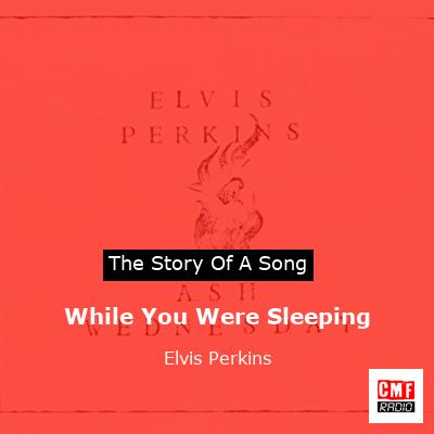 final cover While You Were Sleeping Elvis Perkins