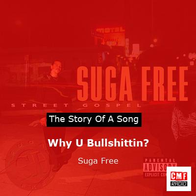 final cover Why U Bullshittin Suga Free
