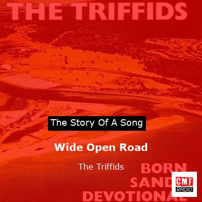 Wide Open Road – The Triffids