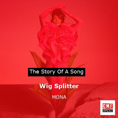 Wig Splitter – MONA