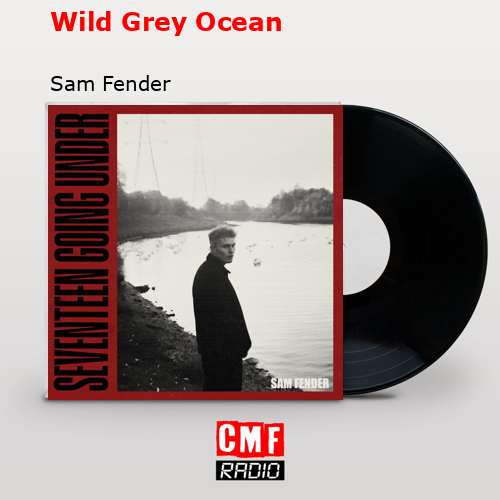 final cover Wild Grey Ocean Sam Fender