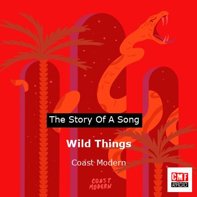 final cover Wild Things Coast Modern