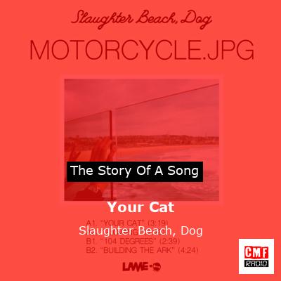 Your Cat – Slaughter Beach, Dog