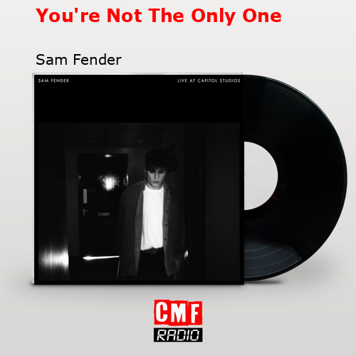 You’re Not The Only One – Sam Fender