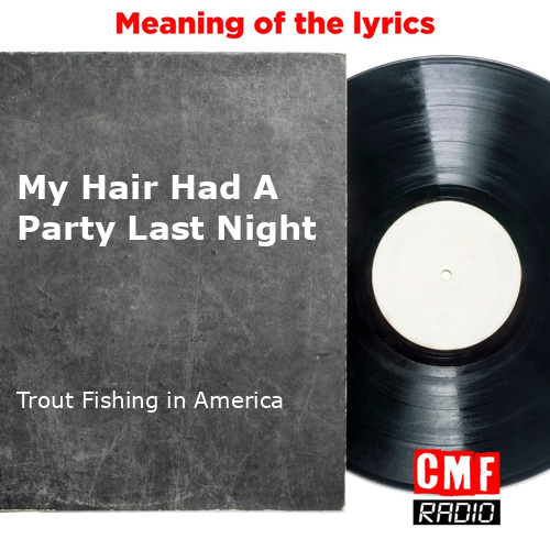 The story and meaning of the song 'My Hair Had A Party Last Night