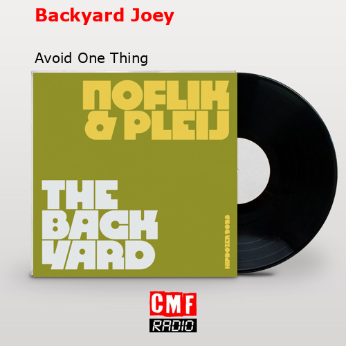 final cover Backyard Joey Avoid One Thing