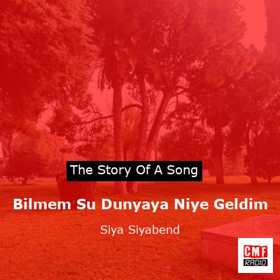 final cover Bilmem Su Dunyaya Niye Geldim Siya Siyabend