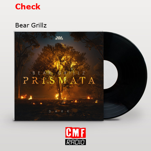 Check – Bear Grillz
