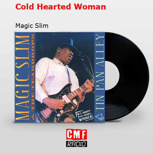 final cover Cold Hearted Woman Magic Slim