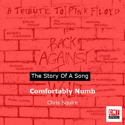 Comfortably Numb – Chris Squire