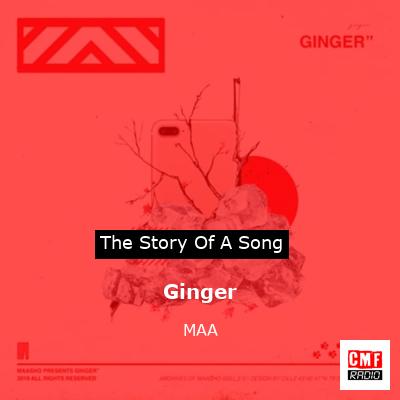 Ginger – MAA