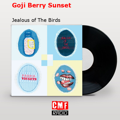 Goji Berry Sunset – Jealous of The Birds