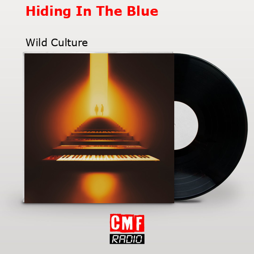 final cover Hiding In The Blue Wild Culture