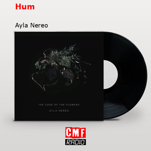 Hum – Ayla Nereo
