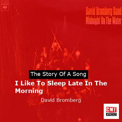 I Like To Sleep Late In The Morning – David Bromberg