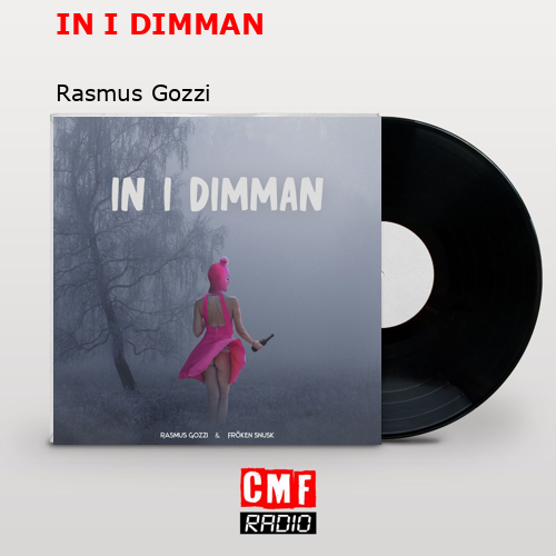 IN I DIMMAN – Rasmus Gozzi