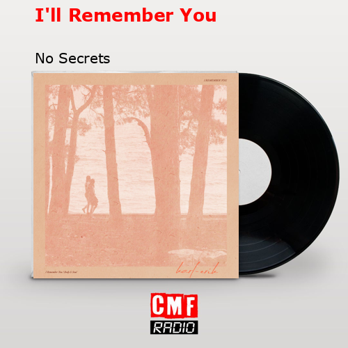 final cover Ill Remember You No Secrets
