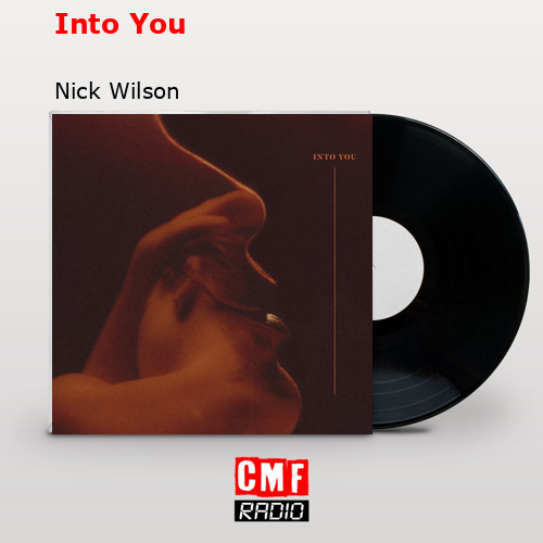 final cover Into You Nick Wilson