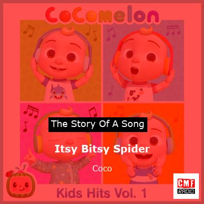 final cover Itsy Bitsy Spider Coco