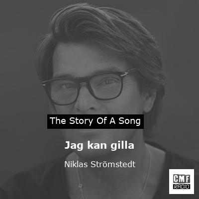 Jag kan gilla – Niklas Strömstedt