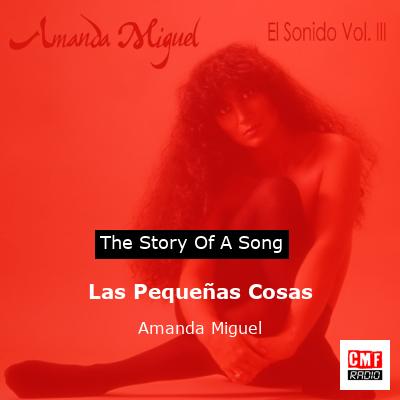 Las Pequeñas Cosas – Amanda Miguel