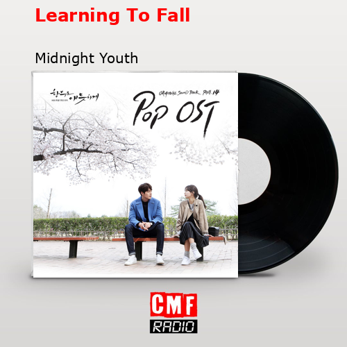 Learning To Fall – Midnight Youth