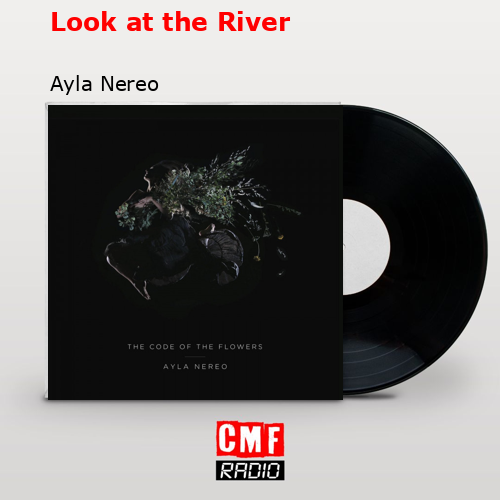 Look at the River – Ayla Nereo