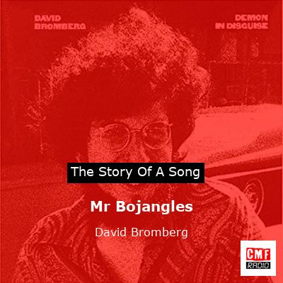 Mr Bojangles – David Bromberg