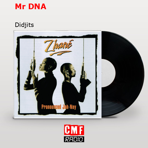 Mr DNA – Didjits
