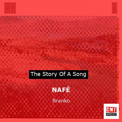 final cover NAFE Branko