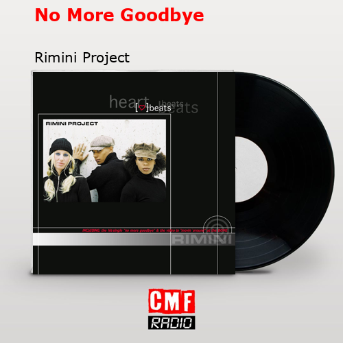 final cover No More Goodbye Rimini Project